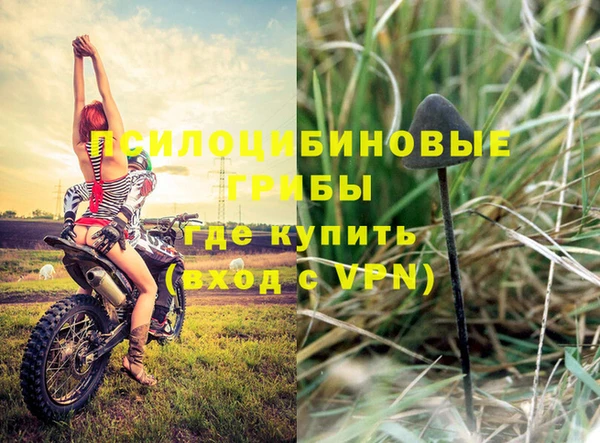 PSILOCYBIN Верея