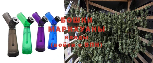дурь Бронницы