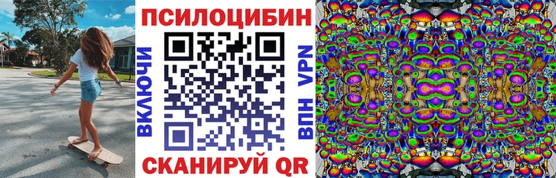 Купить закладки  Касимов  Галлюциногенные грибы Psilocybe 